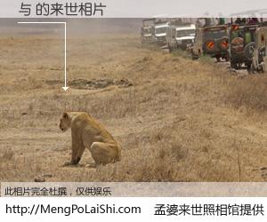 #孟婆来世照相馆# 【与 来世的未来相片】一碗梦婆汤，忘却了今生爱与痛，了无牵挂进入轮回。再相遇，已是天涯陌路人。可否借我一双慧眼，看清今生与来世？孟婆来世照相馆，触摸你的未来。与 来世的未来相片，有图有真相：