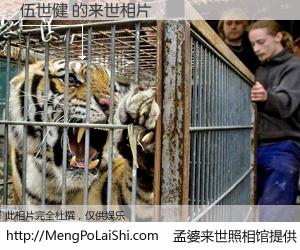 #孟婆来世照相馆# 【伍世健 来世的未来相片】一碗梦婆汤，忘却了今生爱与痛，了无牵挂进入轮回。再相遇，已是天涯陌路人。可否借我一双慧眼，看清今生与来世？孟婆来世照相馆，触摸你的未来。伍世健 来世的未来相片，有图有真相：