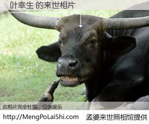 #孟婆来世照相馆# 【叶幸生 来世的未来相片】一碗梦婆汤，忘却了今生爱与痛，了无牵挂进入轮回。再相遇，已是天涯陌路人。可否借我一双慧眼，看清今生与来世？孟婆来世照相馆，触摸你的未来。叶幸生 来世的未来相片，有图有真相：