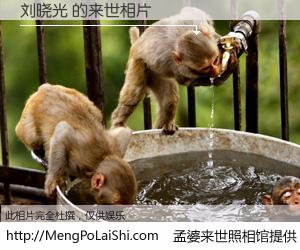 #孟婆来世照相馆# 【刘晓光 来世的未来相片】一碗梦婆汤，忘却了今生爱与痛，了无牵挂进入轮回。再相遇，已是天涯陌路人。可否借我一双慧眼，看清今生与来世？孟婆来世照相馆，触摸你的未来。刘晓光 来世的未来相片，有图有真相：
