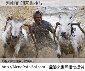 #孟婆来世照相馆# 【刘雨菲 来世的未来相片】一碗梦婆汤，忘却了今生爱与痛，了无牵挂进入轮回。再相遇，已是天涯陌路人。可否借我一双慧眼，看清今生与来世？孟婆来世照相馆，触摸你的未来。刘雨菲 来世的未来相片，有图有真相：