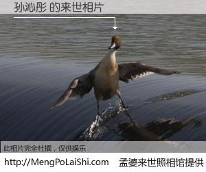 #孟婆来世照相馆# 【孙沁彤 来世的未来相片】一碗梦婆汤，忘却了今生爱与痛，了无牵挂进入轮回。再相遇，已是天涯陌路人。可否借我一双慧眼，看清今生与来世？孟婆来世照相馆，触摸你的未来。孙沁彤 来世的未来相片，有图有真相：