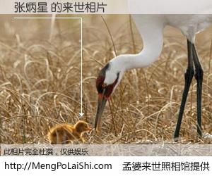 #孟婆来世照相馆# 【张炳星 来世的未来相片】一碗梦婆汤，忘却了今生爱与痛，了无牵挂进入轮回。再相遇，已是天涯陌路人。可否借我一双慧眼，看清今生与来世？孟婆来世照相馆，触摸你的未来。张炳星 来世的未来相片，有图有真相：