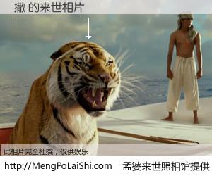#孟婆来世照相馆# 【撒 来世的未来相片】一碗梦婆汤，忘却了今生爱与痛，了无牵挂进入轮回。再相遇，已是天涯陌路人。可否借我一双慧眼，看清今生与来世？孟婆来世照相馆，触摸你的未来。撒 来世的未来相片，有图有真相：