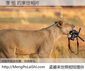 #孟婆来世照相馆# 【李 恒 来世的未来相片】一碗梦婆汤，忘却了今生爱与痛，了无牵挂进入轮回。再相遇，已是天涯陌路人。可否借我一双慧眼，看清今生与来世？孟婆来世照相馆，触摸你的未来。李 恒 来世的未来相片，有图有真相：