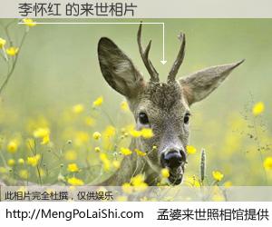 #孟婆来世照相馆# 【李怀红 来世的未来相片】一碗梦婆汤，忘却了今生爱与痛，了无牵挂进入轮回。再相遇，已是天涯陌路人。可否借我一双慧眼，看清今生与来世？孟婆来世照相馆，触摸你的未来。李怀红 来世的未来相片，有图有真相：