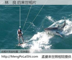 #孟婆来世照相馆# 【林偉良 来世的未来相片】一碗梦婆汤，忘却了今生爱与痛，了无牵挂进入轮回。再相遇，已是天涯陌路人。可否借我一双慧眼，看清今生与来世？孟婆来世照相馆，触摸你的未来。林偉良 来世的未来相片，有图有真相：