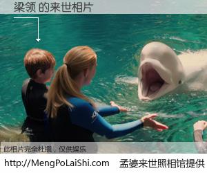 #孟婆来世照相馆# 【梁领 来世的未来相片】一碗梦婆汤，忘却了今生爱与痛，了无牵挂进入轮回。再相遇，已是天涯陌路人。可否借我一双慧眼，看清今生与来世？孟婆来世照相馆，触摸你的未来。梁领 来世的未来相片，有图有真相：