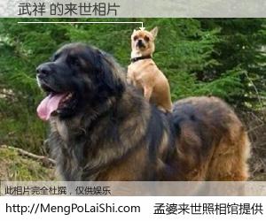 #孟婆来世照相馆# 【武祥 来世的未来相片】一碗梦婆汤，忘却了今生爱与痛，了无牵挂进入轮回。再相遇，已是天涯陌路人。可否借我一双慧眼，看清今生与来世？孟婆来世照相馆，触摸你的未来。武祥 来世的未来相片，有图有真相：
