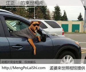 #孟婆来世照相馆# 【江正義 来世的未来相片】一碗梦婆汤，忘却了今生爱与痛，了无牵挂进入轮回。再相遇，已是天涯陌路人。可否借我一双慧眼，看清今生与来世？孟婆来世照相馆，触摸你的未来。江正義 来世的未来相片，有图有真相：