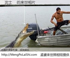 #孟婆来世照相馆# 【沈士峯 来世的未来相片】一碗梦婆汤，忘却了今生爱与痛，了无牵挂进入轮回。再相遇，已是天涯陌路人。可否借我一双慧眼，看清今生与来世？孟婆来世照相馆，触摸你的未来。沈士峯 来世的未来相片，有图有真相：