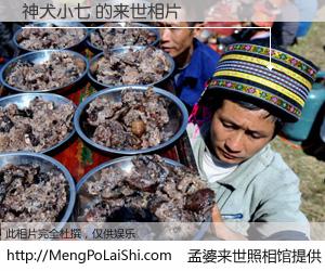 #孟婆来世照相馆# 【神犬小七 来世的未来相片】一碗梦婆汤，忘却了今生爱与痛，了无牵挂进入轮回。再相遇，已是天涯陌路人。可否借我一双慧眼，看清今生与来世？孟婆来世照相馆，触摸你的未来。神犬小七 来世的未来相片，有图有真相：