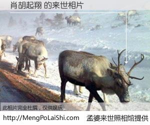 #孟婆来世照相馆# 【肖胡起翔 来世的未来相片】一碗梦婆汤，忘却了今生爱与痛，了无牵挂进入轮回。再相遇，已是天涯陌路人。可否借我一双慧眼，看清今生与来世？孟婆来世照相馆，触摸你的未来。肖胡起翔 来世的未来相片，有图有真相：