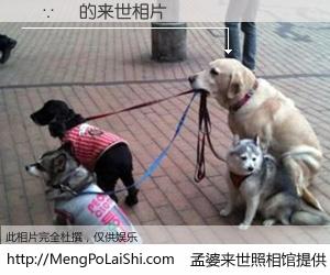 #孟婆来世照相馆# 【荳∵棊 来世的未来相片】一碗梦婆汤，忘却了今生爱与痛，了无牵挂进入轮回。再相遇，已是天涯陌路人。可否借我一双慧眼，看清今生与来世？孟婆来世照相馆，触摸你的未来。荳∵棊 来世的未来相片，有图有真相：