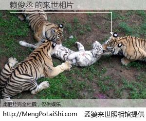 #孟婆来世照相馆# 【赖俊丞 来世的未来相片】一碗梦婆汤，忘却了今生爱与痛，了无牵挂进入轮回。再相遇，已是天涯陌路人。可否借我一双慧眼，看清今生与来世？孟婆来世照相馆，触摸你的未来。赖俊丞 来世的未来相片，有图有真相：