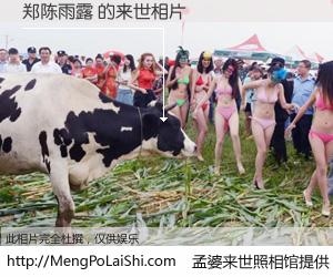 #孟婆来世照相馆# 【郑陈雨露 来世的未来相片】一碗梦婆汤，忘却了今生爱与痛，了无牵挂进入轮回。再相遇，已是天涯陌路人。可否借我一双慧眼，看清今生与来世？孟婆来世照相馆，触摸你的未来。郑陈雨露 来世的未来相片，有图有真相：