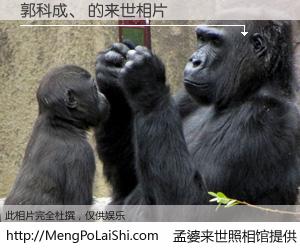 #孟婆来世照相馆# 【郭科成、 来世的未来相片】一碗梦婆汤，忘却了今生爱与痛，了无牵挂进入轮回。再相遇，已是天涯陌路人。可否借我一双慧眼，看清今生与来世？孟婆来世照相馆，触摸你的未来。郭科成、 来世的未来相片，有图有真相：