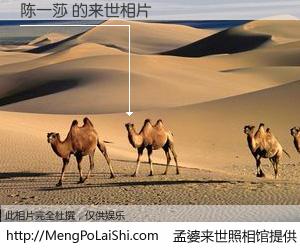 #孟婆来世照相馆# 【陈一莎 来世的未来相片】一碗梦婆汤，忘却了今生爱与痛，了无牵挂进入轮回。再相遇，已是天涯陌路人。可否借我一双慧眼，看清今生与来世？孟婆来世照相馆，触摸你的未来。陈一莎 来世的未来相片，有图有真相：