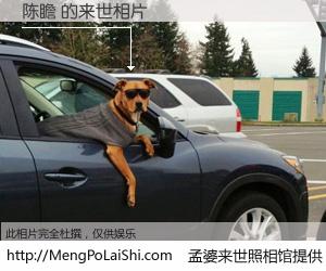 #孟婆来世照相馆# 【陈瞻 来世的未来相片】一碗梦婆汤，忘却了今生爱与痛，了无牵挂进入轮回。再相遇，已是天涯陌路人。可否借我一双慧眼，看清今生与来世？孟婆来世照相馆，触摸你的未来。陈瞻 来世的未来相片，有图有真相：