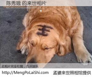 #孟婆来世照相馆# 【陈秀娥 来世的未来相片】一碗梦婆汤，忘却了今生爱与痛，了无牵挂进入轮回。再相遇，已是天涯陌路人。可否借我一双慧眼，看清今生与来世？孟婆来世照相馆，触摸你的未来。陈秀娥 来世的未来相片，有图有真相：