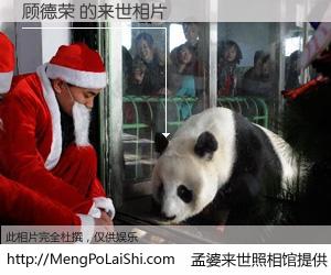 #孟婆来世照相馆# 【顾德荣 来世的未来相片】一碗梦婆汤，忘却了今生爱与痛，了无牵挂进入轮回。再相遇，已是天涯陌路人。可否借我一双慧眼，看清今生与来世？孟婆来世照相馆，触摸你的未来。顾德荣 来世的未来相片，有图有真相：