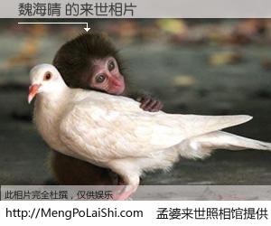 #孟婆来世照相馆# 【魏海晴 来世的未来相片】一碗梦婆汤，忘却了今生爱与痛，了无牵挂进入轮回。再相遇，已是天涯陌路人。可否借我一双慧眼，看清今生与来世？孟婆来世照相馆，触摸你的未来。魏海晴 来世的未来相片，有图有真相：