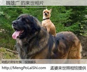 #孟婆来世照相馆# 【魏雄广 来世的未来相片】一碗梦婆汤，忘却了今生爱与痛，了无牵挂进入轮回。再相遇，已是天涯陌路人。可否借我一双慧眼，看清今生与来世？孟婆来世照相馆，触摸你的未来。魏雄广 来世的未来相片，有图有真相：