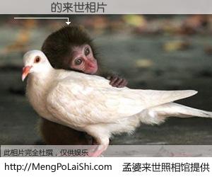 #孟婆来世照相馆# 【黃漢偉 来世的未来相片】一碗梦婆汤，忘却了今生爱与痛，了无牵挂进入轮回。再相遇，已是天涯陌路人。可否借我一双慧眼，看清今生与来世？孟婆来世照相馆，触摸你的未来。黃漢偉 来世的未来相片，有图有真相：