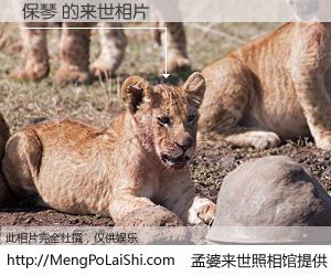 #孟婆来世照相馆# 【保琴 来世的未来相片】一碗梦婆汤，忘却了今生爱与痛，了无牵挂进入轮回。再相遇，已是天涯陌路人。可否借我一双慧眼，看清今生与来世？孟婆来世照相馆，触摸你的未来。保琴 来世的未来相片，有图有真相：