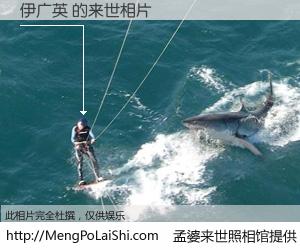 #孟婆来世照相馆# 【伊广英 来世的未来相片】一碗梦婆汤，忘却了今生爱与痛，了无牵挂进入轮回。再相遇，已是天涯陌路人。可否借我一双慧眼，看清今生与来世？孟婆来世照相馆，触摸你的未来。伊广英 来世的未来相片，有图有真相：