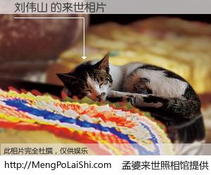 #孟婆来世照相馆# 【刘伟山 来世的未来相片】一碗梦婆汤，忘却了今生爱与痛，了无牵挂进入轮回。再相遇，已是天涯陌路人。可否借我一双慧眼，看清今生与来世？孟婆来世照相馆，触摸你的未来。刘伟山 来世的未来相片，有图有真相：