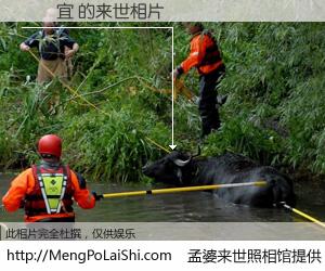 #孟婆来世照相馆# 【劉萬宜 来世的未来相片】一碗梦婆汤，忘却了今生爱与痛，了无牵挂进入轮回。再相遇，已是天涯陌路人。可否借我一双慧眼，看清今生与来世？孟婆来世照相馆，触摸你的未来。劉萬宜 来世的未来相片，有图有真相：