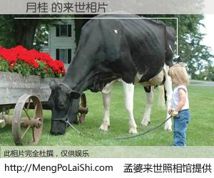 #孟婆来世照相馆# 【吳月桂 来世的未来相片】一碗梦婆汤，忘却了今生爱与痛，了无牵挂进入轮回。再相遇，已是天涯陌路人。可否借我一双慧眼，看清今生与来世？孟婆来世照相馆，触摸你的未来。吳月桂 来世的未来相片，有图有真相：