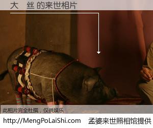 #孟婆来世照相馆# 【大屌丝 来世的未来相片】一碗梦婆汤，忘却了今生爱与痛，了无牵挂进入轮回。再相遇，已是天涯陌路人。可否借我一双慧眼，看清今生与来世？孟婆来世照相馆，触摸你的未来。大屌丝 来世的未来相片，有图有真相：