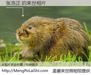 #孟婆来世照相馆# 【张浩正 来世的未来相片】一碗梦婆汤，忘却了今生爱与痛，了无牵挂进入轮回。再相遇，已是天涯陌路人。可否借我一双慧眼，看清今生与来世？孟婆来世照相馆，触摸你的未来。张浩正 来世的未来相片，有图有真相：