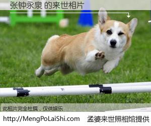 #孟婆来世照相馆# 【张钟永泉 来世的未来相片】一碗梦婆汤，忘却了今生爱与痛，了无牵挂进入轮回。再相遇，已是天涯陌路人。可否借我一双慧眼，看清今生与来世？孟婆来世照相馆，触摸你的未来。张钟永泉 来世的未来相片，有图有真相：