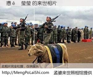 #孟婆来世照相馆# 【懑�莹莹 来世的未来相片】一碗梦婆汤，忘却了今生爱与痛，了无牵挂进入轮回。再相遇，已是天涯陌路人。可否借我一双慧眼，看清今生与来世？孟婆来世照相馆，触摸你的未来。懑�莹莹 来世的未来相片，有图有真相：