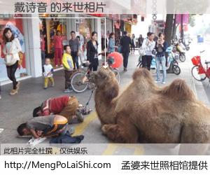 #孟婆来世照相馆# 【戴诗音 来世的未来相片】一碗梦婆汤，忘却了今生爱与痛，了无牵挂进入轮回。再相遇，已是天涯陌路人。可否借我一双慧眼，看清今生与来世？孟婆来世照相馆，触摸你的未来。戴诗音 来世的未来相片，有图有真相：