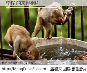 #孟婆来世照相馆# 【李程 来世的未来相片】一碗梦婆汤，忘却了今生爱与痛，了无牵挂进入轮回。再相遇，已是天涯陌路人。可否借我一双慧眼，看清今生与来世？孟婆来世照相馆，触摸你的未来。李程 来世的未来相片，有图有真相：