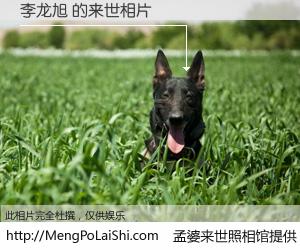 #孟婆来世照相馆# 【李龙旭 来世的未来相片】一碗梦婆汤，忘却了今生爱与痛，了无牵挂进入轮回。再相遇，已是天涯陌路人。可否借我一双慧眼，看清今生与来世？孟婆来世照相馆，触摸你的未来。李龙旭 来世的未来相片，有图有真相：