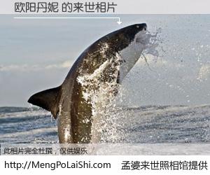 #孟婆来世照相馆# 【欧阳丹妮 来世的未来相片】一碗梦婆汤，忘却了今生爱与痛，了无牵挂进入轮回。再相遇，已是天涯陌路人。可否借我一双慧眼，看清今生与来世？孟婆来世照相馆，触摸你的未来。欧阳丹妮 来世的未来相片，有图有真相：