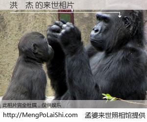 #孟婆来世照相馆# 【洪漢杰 来世的未来相片】一碗梦婆汤，忘却了今生爱与痛，了无牵挂进入轮回。再相遇，已是天涯陌路人。可否借我一双慧眼，看清今生与来世？孟婆来世照相馆，触摸你的未来。洪漢杰 来世的未来相片，有图有真相：