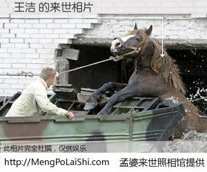 #孟婆来世照相馆# 【王洁 来世的未来相片】一碗梦婆汤，忘却了今生爱与痛，了无牵挂进入轮回。再相遇，已是天涯陌路人。可否借我一双慧眼，看清今生与来世？孟婆来世照相馆，触摸你的未来。王洁 来世的未来相片，有图有真相：