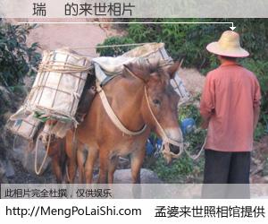 #孟婆来世照相馆# 【簡瑞賢 来世的未来相片】一碗梦婆汤，忘却了今生爱与痛，了无牵挂进入轮回。再相遇，已是天涯陌路人。可否借我一双慧眼，看清今生与来世？孟婆来世照相馆，触摸你的未来。簡瑞賢 来世的未来相片，有图有真相：