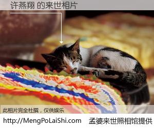 #孟婆来世照相馆# 【许燕翔 来世的未来相片】一碗梦婆汤，忘却了今生爱与痛，了无牵挂进入轮回。再相遇，已是天涯陌路人。可否借我一双慧眼，看清今生与来世？孟婆来世照相馆，触摸你的未来。许燕翔 来世的未来相片，有图有真相：