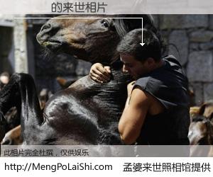 #孟婆来世照相馆# 【許軒綸 来世的未来相片】一碗梦婆汤，忘却了今生爱与痛，了无牵挂进入轮回。再相遇，已是天涯陌路人。可否借我一双慧眼，看清今生与来世？孟婆来世照相馆，触摸你的未来。許軒綸 来世的未来相片，有图有真相：