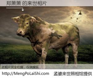 #孟婆来世照相馆# 【郑萧萧 来世的未来相片】一碗梦婆汤，忘却了今生爱与痛，了无牵挂进入轮回。再相遇，已是天涯陌路人。可否借我一双慧眼，看清今生与来世？孟婆来世照相馆，触摸你的未来。郑萧萧 来世的未来相片，有图有真相：