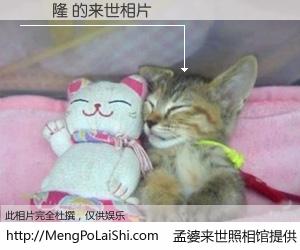 #孟婆来世照相馆# 【陳恆隆 来世的未来相片】一碗梦婆汤，忘却了今生爱与痛，了无牵挂进入轮回。再相遇，已是天涯陌路人。可否借我一双慧眼，看清今生与来世？孟婆来世照相馆，触摸你的未来。陳恆隆 来世的未来相片，有图有真相：