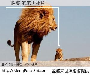 #孟婆来世照相馆# 【陳昭姿 来世的未来相片】一碗梦婆汤，忘却了今生爱与痛，了无牵挂进入轮回。再相遇，已是天涯陌路人。可否借我一双慧眼，看清今生与来世？孟婆来世照相馆，触摸你的未来。陳昭姿 来世的未来相片，有图有真相：