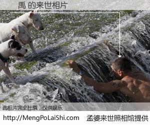 #孟婆来世照相馆# 【陳禹 来世的未来相片】一碗梦婆汤，忘却了今生爱与痛，了无牵挂进入轮回。再相遇，已是天涯陌路人。可否借我一双慧眼，看清今生与来世？孟婆来世照相馆，触摸你的未来。陳禹 来世的未来相片，有图有真相：